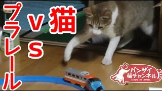 猫vsプラレールの戦い。プラレールにどう反応するか？【猫おもしろかわいい】Ai vs Pra-rail.