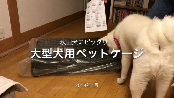JDog 秋田犬TAM 物語79 大型犬用 プロフェッショナルペットゲージ