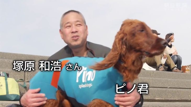 [犬のサーフィン大会]Ｖ４の名犬