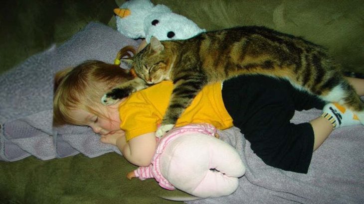 「感動」人間の赤ちゃんを必死で守る猫・かわいい猫と赤ちゃん